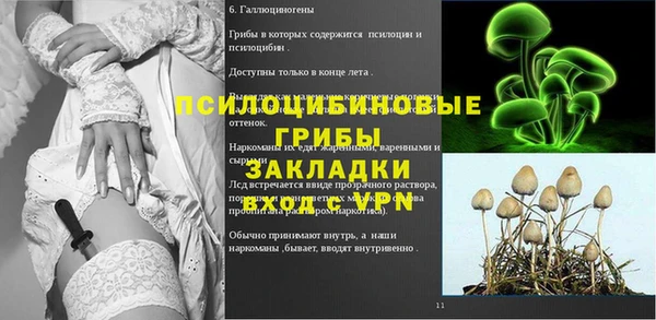 соль курить ск Козловка