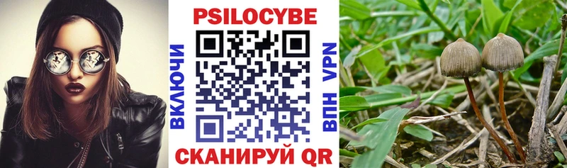 Псилоцибиновые грибы GOLDEN TEACHER Купить где Лагань